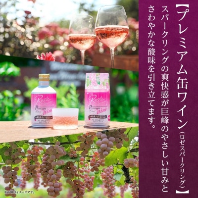 無地熨斗 プレミアム缶ワイン 赤・ロゼスパークリング 各3本 計6本入 モンデ酒造 山梨県 笛吹市