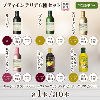 無地熨斗 プティモンテリア 6種セット 計6本入 モンデ酒造 山梨県 笛吹市