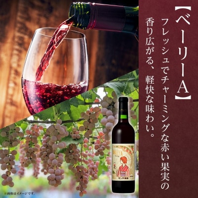 【2025年新酒予約】甲州辛口・ベーリーA  各1本 720ml セット モンデ酒造 山梨県 笛吹市