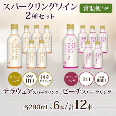 缶スパークリングワイン 2種 デラウェア ピーチ 計12本セット モンデ酒造 山梨県 笛吹市