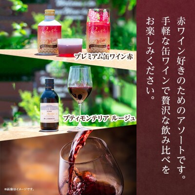 缶ワイン 赤 2種 計6本セット モンデ酒造 山梨県 笛吹市