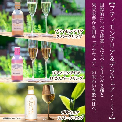 缶スパークリングワイン 5種 計10本セット モンデ酒造 山梨県 笛吹市