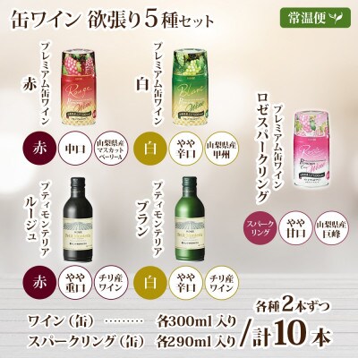 缶ワイン 欲張り 5種 飲み比べ 計10本セット モンデ酒造 山梨県 笛吹市