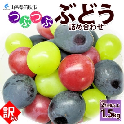 先行受付【訳あり】つぶつぶ ブドウ 2品種以上の詰め合わせ  計1.5kg 山梨県 笛吹市