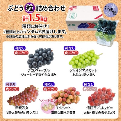先行受付【訳あり】つぶつぶ ブドウ 2品種以上の詰め合わせ  計1.5kg 山梨県 笛吹市
