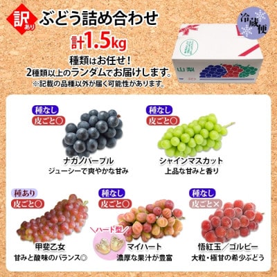 先行受付【訳あり】ブドウ 房 2品種以上の詰め合わせ 計1.5kg 山梨県 笛吹市