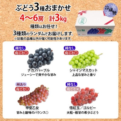 【2026年先行予約】山梨県産 泰果園のぶどう 3種おまかせ 4～6房 約3kg 笛吹市