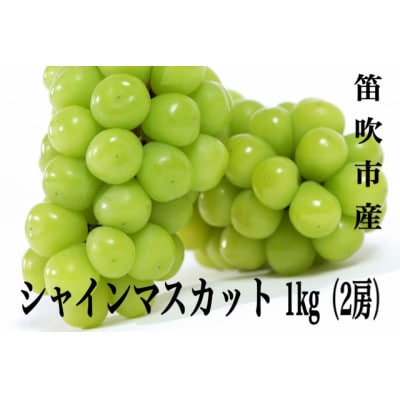 【2025年先行受付】笛吹市産 やみつきシャインマスカット1kg(2房)
