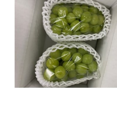 【2025年先行受付】笛吹市産 やみつきシャインマスカット1kg(2房)