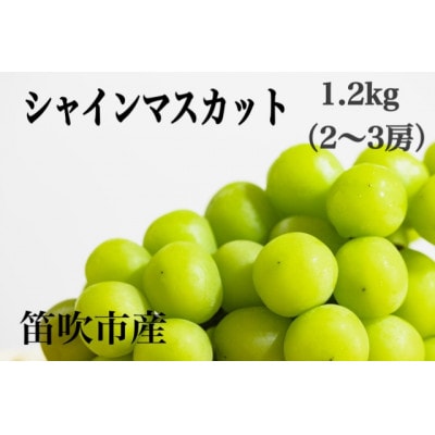 【2025年先行受付】笛吹市産 やみつきシャインマスカット1.2kg(2～3房)