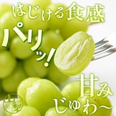 <2025年発送>農園こだわりのぶどう「シャインマスカット」約1.2kg 村松農園 山梨県 笛吹市