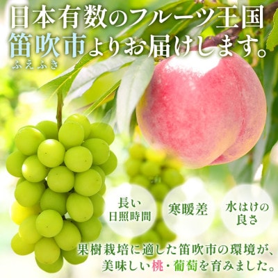 【2026年先行予約】農園こだわりの甘くてジューシーな桃 2kg以上 4～6玉 村松農園 笛吹市