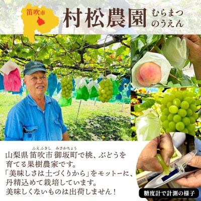 【2026年先行予約】農園こだわりの甘くてジューシーな桃 2kg以上 4～6玉 村松農園 笛吹市