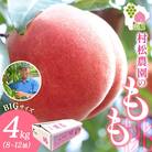 【2026年先行予約】農園こだわりの「桃」をお届け!4kg(8～12玉)村松農園 山梨県 笛吹市