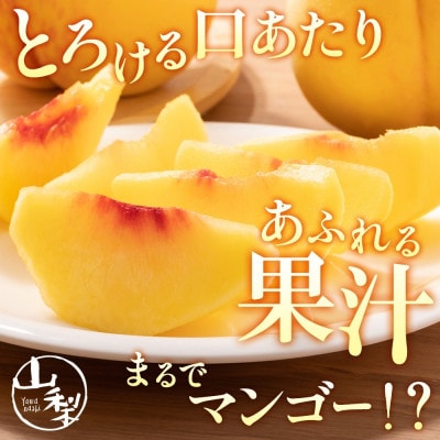 【2026年先行予約】マンゴーみたいな甘さ「黄金桃」2kg以上 4～6玉 村松農園 山梨県 笛吹市