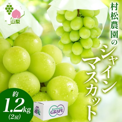 【2026年先行予約】農園こだわりの甘い「シャインマスカット」約1.2kg 村松農園 山梨県 笛吹市