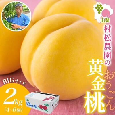 農園直送!マンゴーみたいなとろける甘さのモモ「黄金桃」2kg以上 4～6玉 村松農園 山梨県 笛吹市