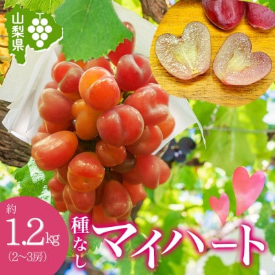 農園こだわりのぶどう!ハートの形の「マイハート」2～3房 約1.2kg 村松農園 山梨県 笛吹市