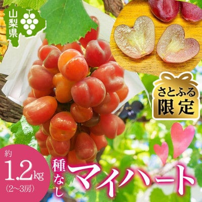【さとふる限定】ハート型の可愛いぶどう「マイハート」2～3房 約1.2kg 村松農園 山梨県 笛吹市