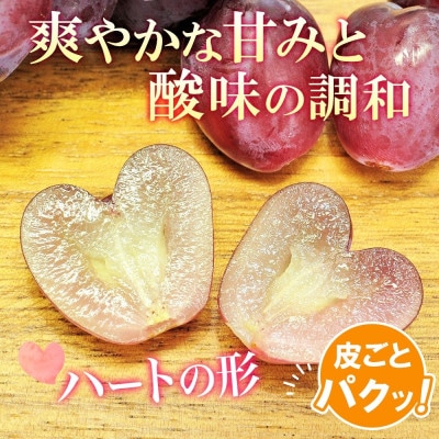 農園こだわりのぶどう!ハートの形の「マイハート」2～3房 約1.2kg 村松農園 山梨県 笛吹市