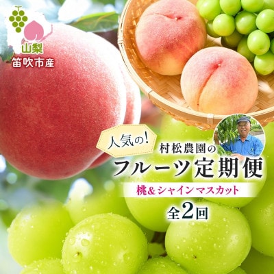 【発送月固定定期便】桃 シャインマスカット 人気のフルーツ定期便 村松農園全2回