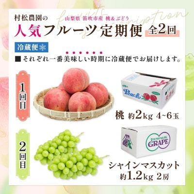 【発送月固定定期便】桃 シャインマスカット 人気のフルーツ定期便 村松農園全2回