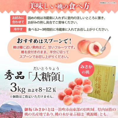 【2025年先行予約】桃 3kg 大糖領 糖度12%以上 秀品 山梨県笛吹市
