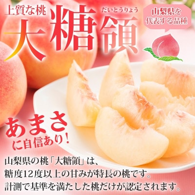 糖度が自慢のモモ「大糖領」約4.5kg 12～18玉 糖度12%以上 秀品 山梨県 笛吹市