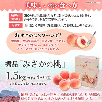 【2025年先行予約】みさかの桃 秀品 約1.5kg 糖度10%以上 山梨県 笛吹市