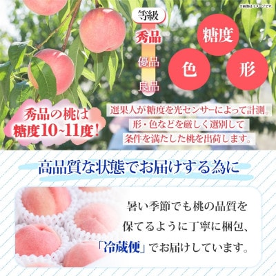 【2025年先行予約】みさかの桃 秀品 3kg 糖度 10%以上 山梨県 笛吹市