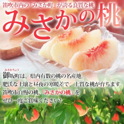 【2025年先行予約】みさかの桃 秀品 4.5kg 糖度 10%以上 山梨県 笛吹市