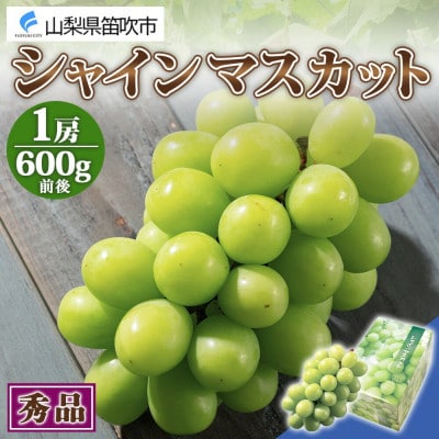【2025年先行予約】シャインマスカット 1房 600g前後 秀品 化粧箱付 山梨県 笛吹市