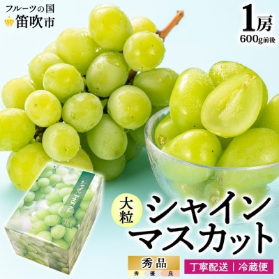 爽やかな甘さが人気のフルーツ シャインマスカット 1房 600g前後 秀品 化粧箱付 山梨県 笛吹市