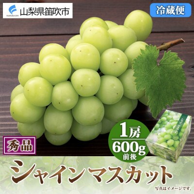 【2025年先行予約】シャインマスカット 1房 600g前後 秀品 化粧箱付 山梨県 笛吹市