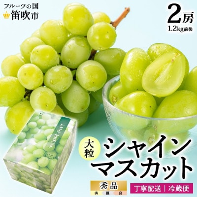 爽やかな甘さが人気のフルーツ シャインマスカット2房 1.2kg前後 秀品 化粧箱付 山梨県 笛吹市