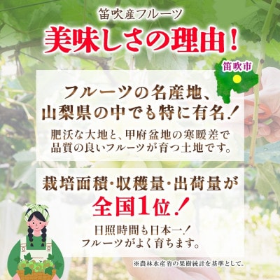 爽やかな甘さが人気のフルーツ シャインマスカット2房 1.2kg前後 秀品 化粧箱付 山梨県 笛吹市