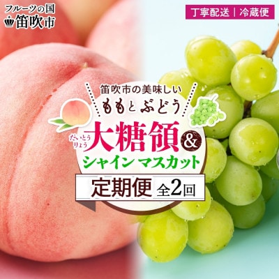 【発送月固定定期便】笛吹市の桃とぶどう 大糖領 1.5kg&シャインマスカット 1房 600g全2回