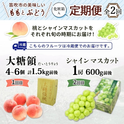 【発送月固定定期便】笛吹市の桃とぶどう 大糖領 1.5kg&シャインマスカット 1房 600g全2回
