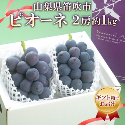 甘みと酸味のバランスが絶妙!大粒の黒ブドウ「山梨県産 大房 ピオーネ 2房 約1kg」ぶどう 笛吹市