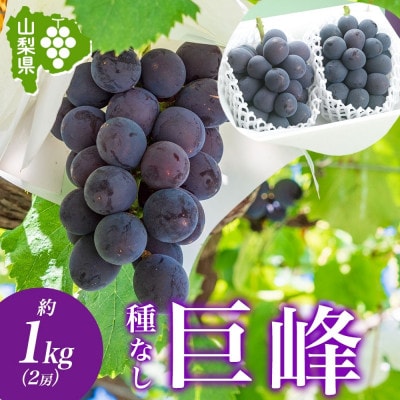 不動の人気を誇るブドウの王様「山梨県産 巨峰 2房 約1kg」 山梨県 笛吹市