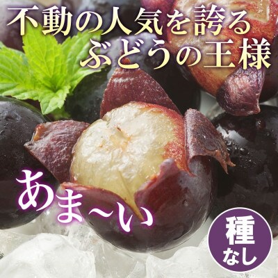 不動の人気を誇るブドウの王様「山梨県産 巨峰 2房 約1kg」 山梨県 笛吹市