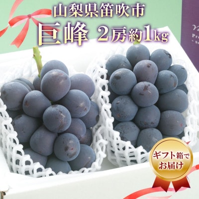 不動の人気を誇るブドウの王様「山梨県産 巨峰 2房 約1kg」 山梨県 笛吹市
