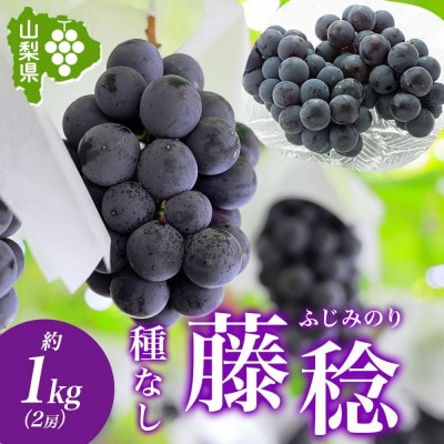爽やかな甘みと上品な酸味!「山梨県産 藤稔(ふじみのり) 2房 約1kg」ぶどう 山梨県 笛吹市