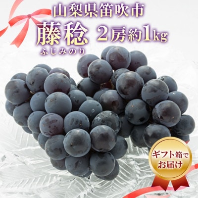 爽やかな甘みと上品な酸味!「山梨県産 藤稔(ふじみのり) 2房 約1kg」ぶどう 山梨県 笛吹市
