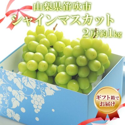 フルーツ王国山梨県からお届け!甘くて美味しい「シャインマスカット 2房 約1kg」山梨県 笛吹市