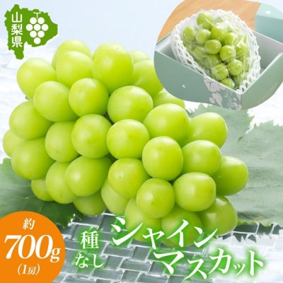 フルーツ王国山梨県からお届け!甘くて美味しい「シャインマスカット 1房 約700g」山梨県 笛吹市