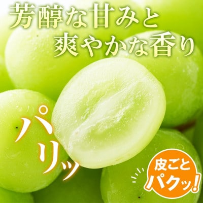 フルーツ王国山梨県からお届け!甘くて美味しい「シャインマスカット 1房 約700g」山梨県 笛吹市