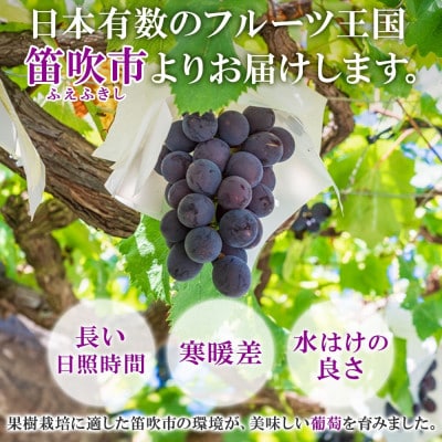 フルーツ王国山梨県からお届け!甘くて美味しい「シャインマスカット 1房 約700g」山梨県 笛吹市
