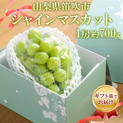 フルーツ王国山梨県からお届け!甘くて美味しい「シャインマスカット 1房 約700g」山梨県 笛吹市