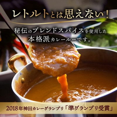 【さとふる限定】ジョイアルファクトリー 極旨スパイスカレー スパイスルー 180g×3個